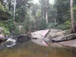 My beautiful pendang firdaus zulkhairi. Hutan Lipur Puncak Janing Tempat Menarik Di Padang Terap Kedah Tempat Menarik