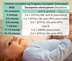 Które szczepienia są obowiązkowe, a które zalecane? Kalendarz Szczepien 2018 Obowiazkowe I Dodatkowe Szczepienia Aeger Pl