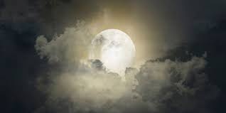 How to steal your sister's clothes. Zen Story Steal The Moon Balance By Buddhagroove