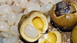 Hạt đac La Hạt Gi Cong Dụng Va Cach Nấu Hạt đac đạt