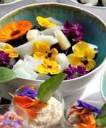 Cuisine Aux Fleurs La Cuisine Aux Fleurs Ou Se Procurer Des Fleurs Comestibles Et Comment Les Conserver