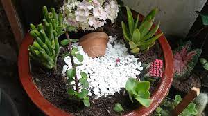 La base mide 24 cm de diámetro y 23cm de altura. Mini Jardines De Cactus Y Suculentas Home Facebook