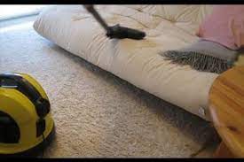 Man muss nur über flöhe reden, schon löst das unstillbare kratzgelüste aus. Video Flohe In Der Wohnung Wirksam Bekampfen Einfache Hausmittel