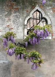An Entry From Emilialua Beautiful Windows Beautiful Doors Window Boxes