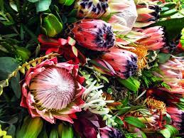 Hawaiian flowers that start with p. Hawaiian Flowers Found On Maui All That Flowers In Hawaii