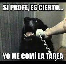 Memes Chistosos De Gatos Y Perros 33 Memes Chistosisimos Memes Graciosos Chistes Divertidos