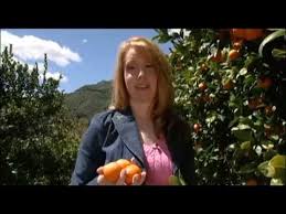 Maybe you would like to learn more about one of these? A Little Pixie Magic Pixie Tangerines Youtube