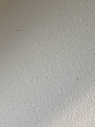 Our termite inspection informs a custom termite treatment plan to help protect your home and help get rid of termites. Strike Force Pest And Termite Control 5900 N Granite Reef Rd Scottsdale Az Pest Control Mapquest