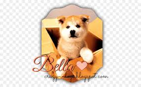 1987 yılında hachiko monogatari isimli japon filmine konu olan gerçek olaylar bu defa stephen p. Akita Youtube Film HachikÅ In Japan Verruckter Hund Png Herunterladen 506 557 Kostenlos Transparent Hund Png Herunterladen