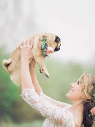 Ami Elisah Wedding Dresses For A Romantic Inspiration Shoot At Spains Hall Estate With Images By Charli Photography Wedding Pets Pug Wedding Dog Wedding