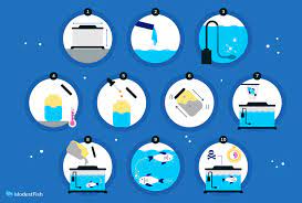 The act of humanely killing your fish, or any other animal for that matter, is called euthanization. How To Humanely Euthanize Fish