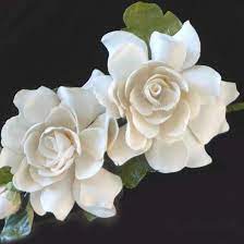 Roxana Frontini Rox On Instagram Dos Gardenias Para Ti Con Ellas Quiero Decir Tu Dia Es Todos Los Dias Gardenia Tattoo Flower Tattoos Flowers