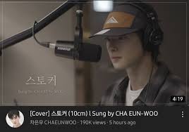 CHA EUN WOO IS NOT FINE. HE'S TRYING TO BE FINE. HE KEEPS SMILING BUT THE  TRUTH BEHIND THOSE WILL NEVER HIDE ON HIS EYES AND FAKE SMILES! #CHAEUNWOO