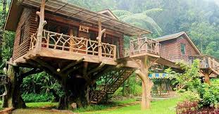 Harga tiket masuk ski tajur katulampa bogor 2019 rute & lokasi. Artikel Harga Sewa Rumah Pohon Taman Safari Hbs Blog Hakana Borneo Sejahtera
