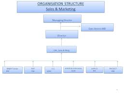 organisation chart fy managing director director vp admn