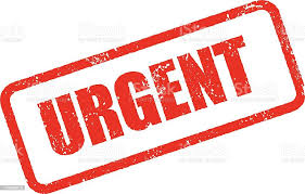 نتیجه جستجوی لغت [urgent] در گوگل