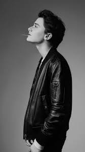 Noah Schnapp Schnapp Noah Future Boyfriend