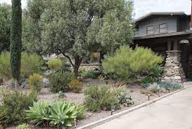 Three Lawnless Gardens Time Patience Style California Garden Xeriscape Desert Life