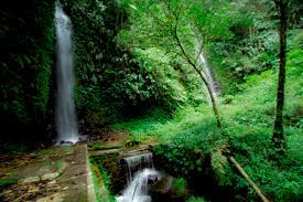 Akses jalan menuju lokasi tirto wening juga cukup memadai. Air Terjun Tirta Gumarang Air Terjunku