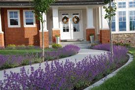 Pin On Gardening