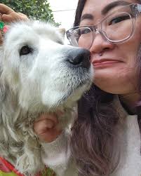 Owner loses dog and thanks photographers