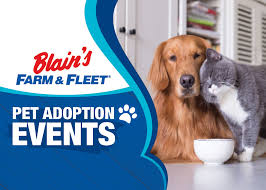 Shop eco junk at the scrap exchange. Pet Adoption Events Blain S Farm Fleet Blog