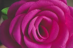 Flores gigantes de papel paso a paso todo bonito. Moldes Flores De Papel Gigantes Paso A Paso Get Images
