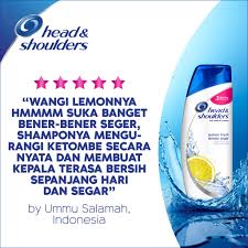 Contoh iklan shampo yang menarik. Head Shoulders Shampoo Lemon Fresh Anti Dandruff 300 Ml Shopee Indonesia
