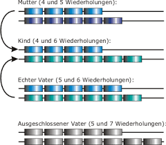 Stellungnahme Zu Heimlichen Vaterschaftstests