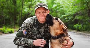 70 norse mythology dog names for male & female. Military Dog Names Over 400 Name Ideas Perfect For Your Dog