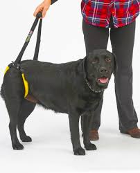 It has a global traffic rank of #7,842,413 in the world. Dog Lift Harness Made In The Usa K9 Carts