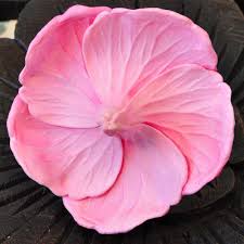 Bulk selections of delicate foam roses are ideal for creating custom wedding bouquets for bridesmaids and matching buttonholes for the groomsmen. Flowers Artificial Hibiscus Red Buy Cheap Online