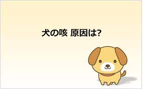 犬の咳の原因・対処法