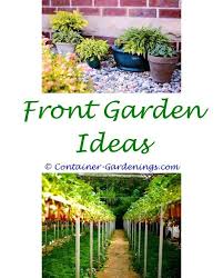 Best Gardening Tips Fairy Door Garden Ideas Vegetable Garden Fertilizer Tips Small Backyard Veget Backyard Garden Diy Veggie Garden Backyard Garden Landscape