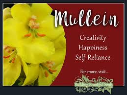 We did not find results for: Mullein Meaning Symbolism Flower Meanings Flower Meanings Flower Bouquet Wedding Cheap Wedding Flowers