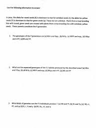 Public availability of amoeba sisters answer keys is a. 34 Monohybrid Crosses Practice Worksheet Answer Key Worksheet Resource Plans