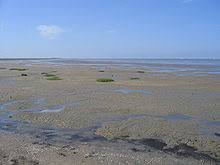 Kas soovite lisada asukoha waddenzee lemmikute hulka, et seda tulevikus kiiremini vaadata? Wadden Sea Wikipedia