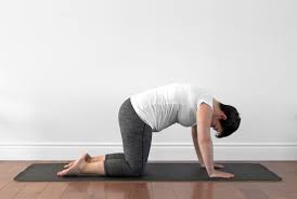 Vicki is going to come on to her hands and knees. 6 Prenatal Yoga Poses For Your 1st Trimester
