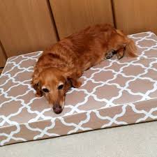 もうすぐ14歳のがんちゃんと1歳のもんちゃん ロイヤルベッドsサイズ ベッドカバー ララ モカベージュ アンベルソ ダックスフンド ミニチュアダックス 犬スタグラム ロイヤルベッド シニア犬 anberso dachshund dachshundsofinstagra 犬 ペット