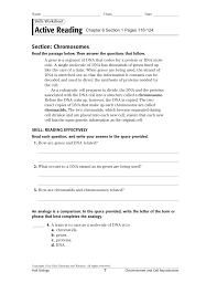Meiosis core from section 11 4 meiosis worksheet answers , source: Holt Biology Cell Growth And Division Worksheet Answers Promotiontablecovers