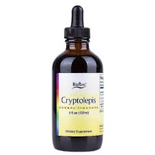 Image result for Cryptolepis