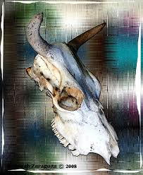 Affordable and search from millions of royalty free images, photos and vectors. Cow Skull In Color Digital Art Deborah Zaragoza Drawings Illustration Animals Birds Fish Farm Animals Cows Bulls Artpal