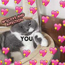 And yes, a lot of them deal in dark but we're here to tell you that genuine, sincere, wholesome memes are some of the best memes on the. Wholesome Memes To Cheer You Up On The Fly Supportiv