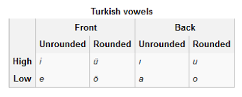 500 word answers conling what is vowel harmony