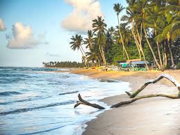 D&eacute;couverte de la baie de Samana en R&eacute;publique Dominicaine | World Else
