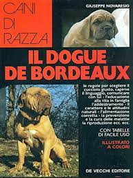 The female ddb stands 23 to 26 inches at the withers. Il Dogue De Bordeaux Giuseppe Novaresio 9788841204597 Amazon Com Books