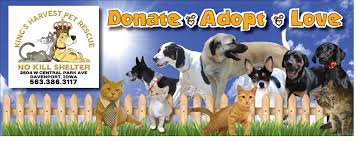 This way if they are lost, they can be traced back to you. Kings Harvest Pet Rescue No Kill Shelter 563 386 3117 Photos Facebook