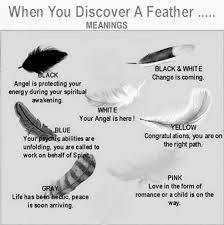 Feather Chart With Meaning Of Different Color Feathers