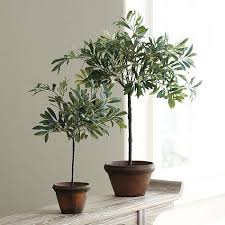 Olive Topiary Ballard Designs Faux Olive Tree Topiary Topiary Diy