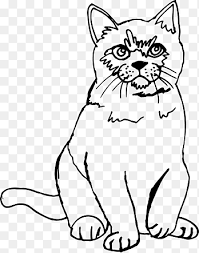 Maybe you would like to learn more about one of these? Kucing Png Images Pngegg